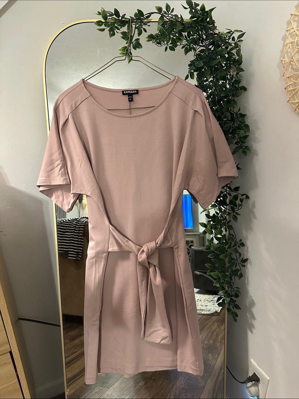 Express Blush Pink Tie-Front Mini Dress